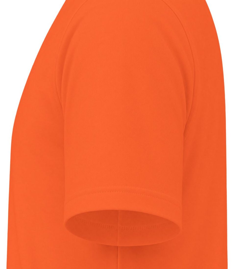 Cat 001 — view 6