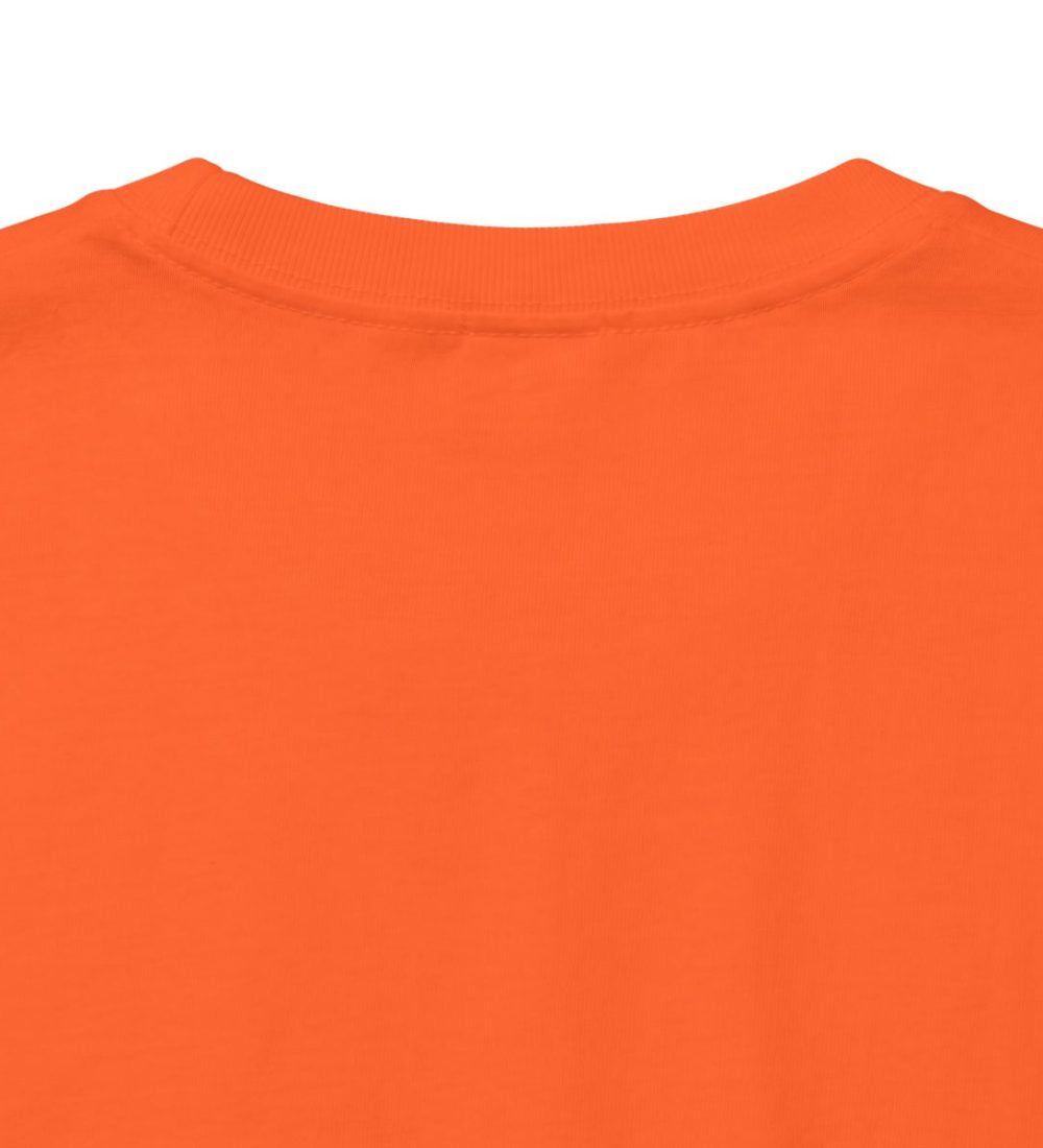 Cat 001 — view 9