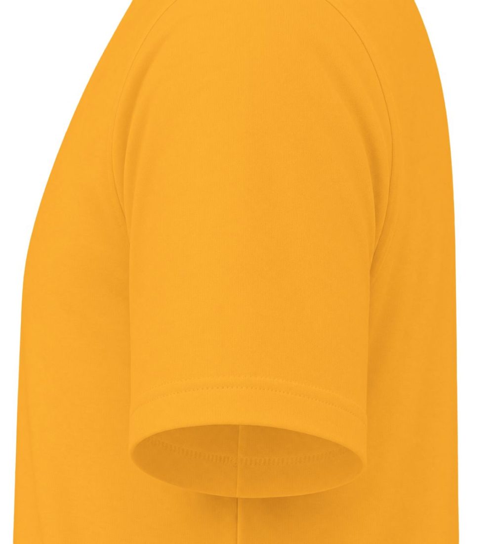 Cat 001 — view 12