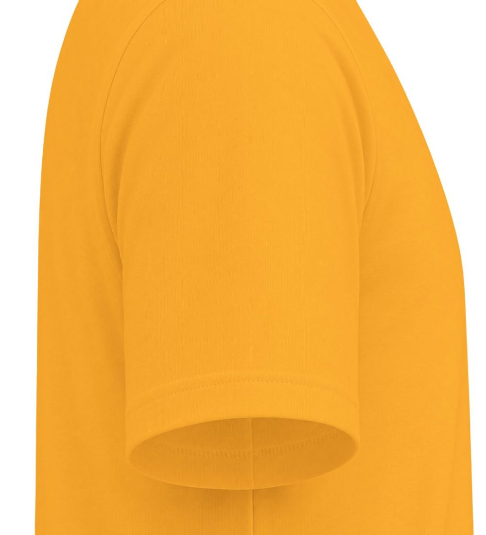 Cat 001 — view 13